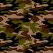 Print - Green Camouflage